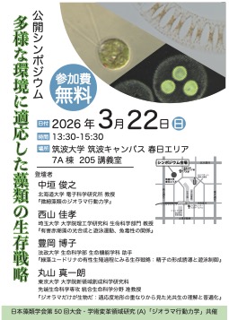 公開シンポジウム 